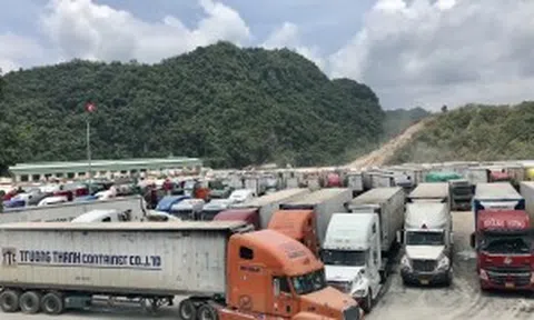 Quản lý chặt nguyên liệu sản xuất hàng xuất khẩu - Ngăn chặn gian lận xuất xứ