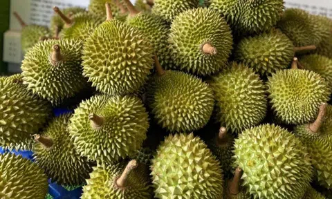 Biểu tượng nông nghiệp xanh kết hợp du lịch nghỉ dưỡng tại Lâm Đồng