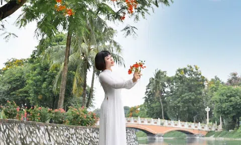 Công bố bản quyền bài thơ 'Tháng Sáu tô son lên cánh phượng'