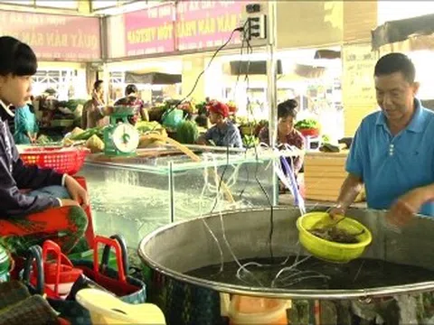 Tôm càng xanh, cua biển tăng giá gấp đôi trong ngày vía Thần Tài