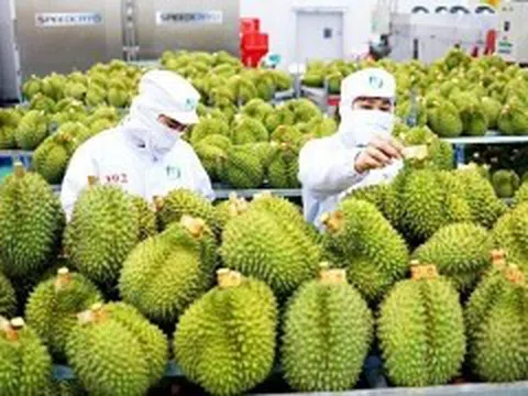 4 chính sách giúp phát triển nhãn hiệu, thương hiệu nông sản Việt Nam