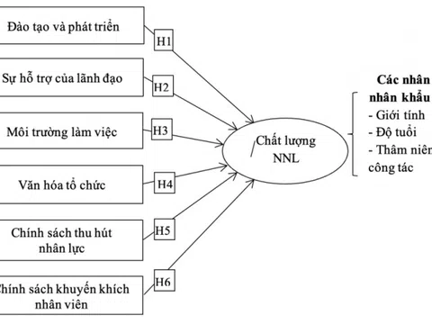 Các yếu tố ảnh hưởng đến chất lượng nguồn nhân lực của Công ty Cổ phần thực phẩm và nước giải khát Nam Việt