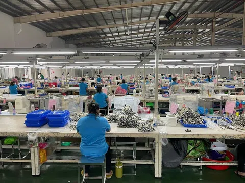 Việt Nam là nước sản xuất giày vải lớn nhất thế giới