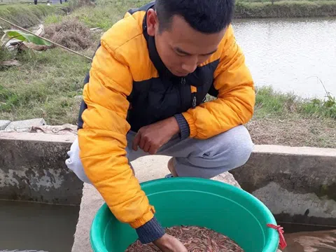 Quyết định về quê lập nghiệp trong khi tay trắng, 9x Hải Phòng đã làm nên chuyện "xưa nay hiếm"