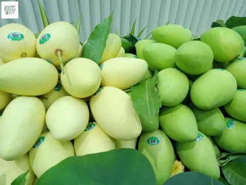 Quảng bá thương hiệu xoài Đồng Tháp