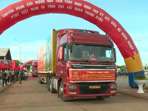 Chính thức xuất khẩu lô sầu riêng chính ngạch sang Trung Quốc